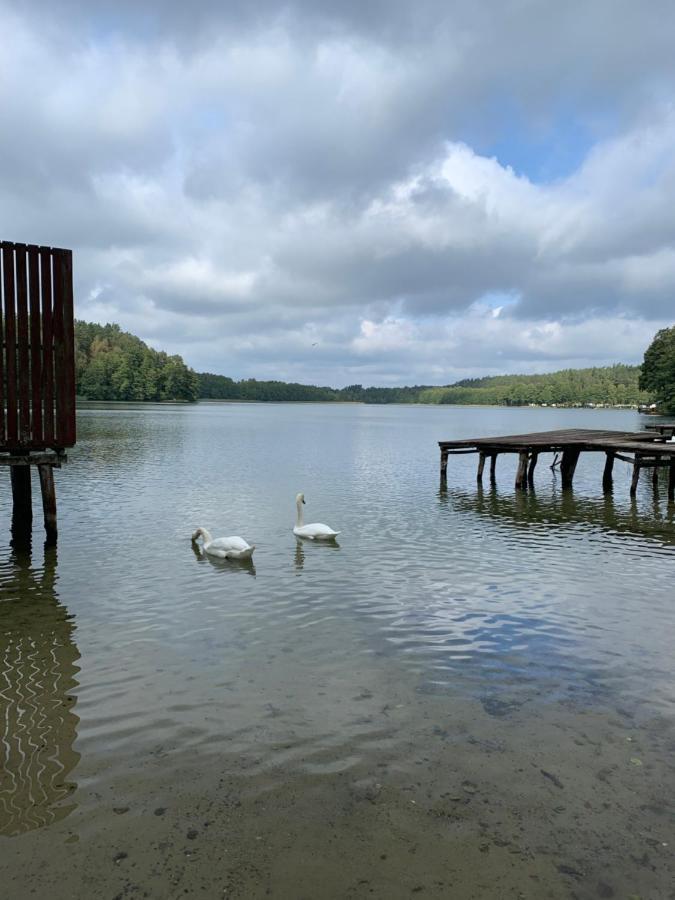 Domki Nad Brzegiem Dluzek Esterno foto